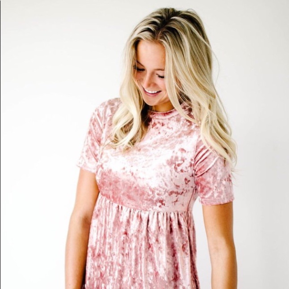Halsey velvet dress NWT